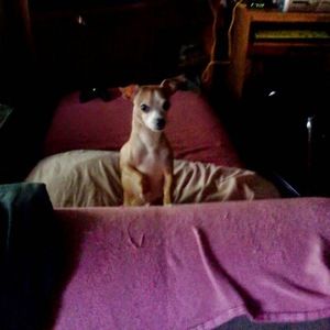 Meet your Posher, Barbara